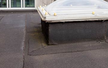 disadvantages of South Brent flat roofs