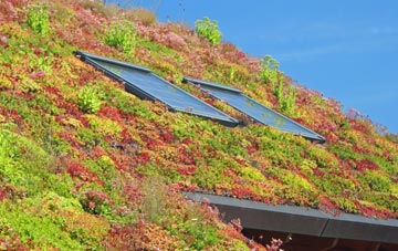 South Brent living roof systems
