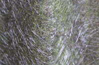 South Brent fibreglass roof work